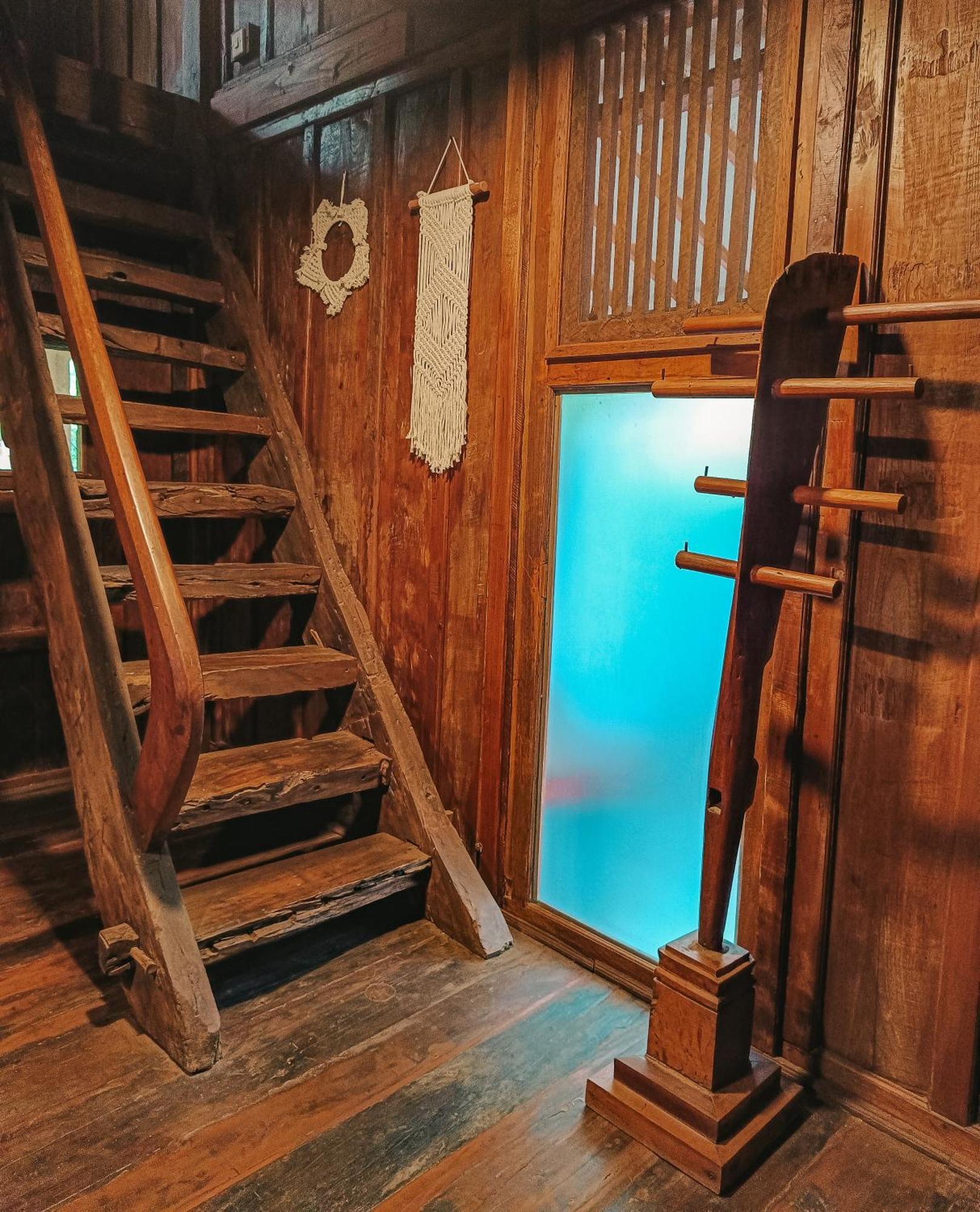 Alaya Ecolodge 佩母得兰 外观 照片