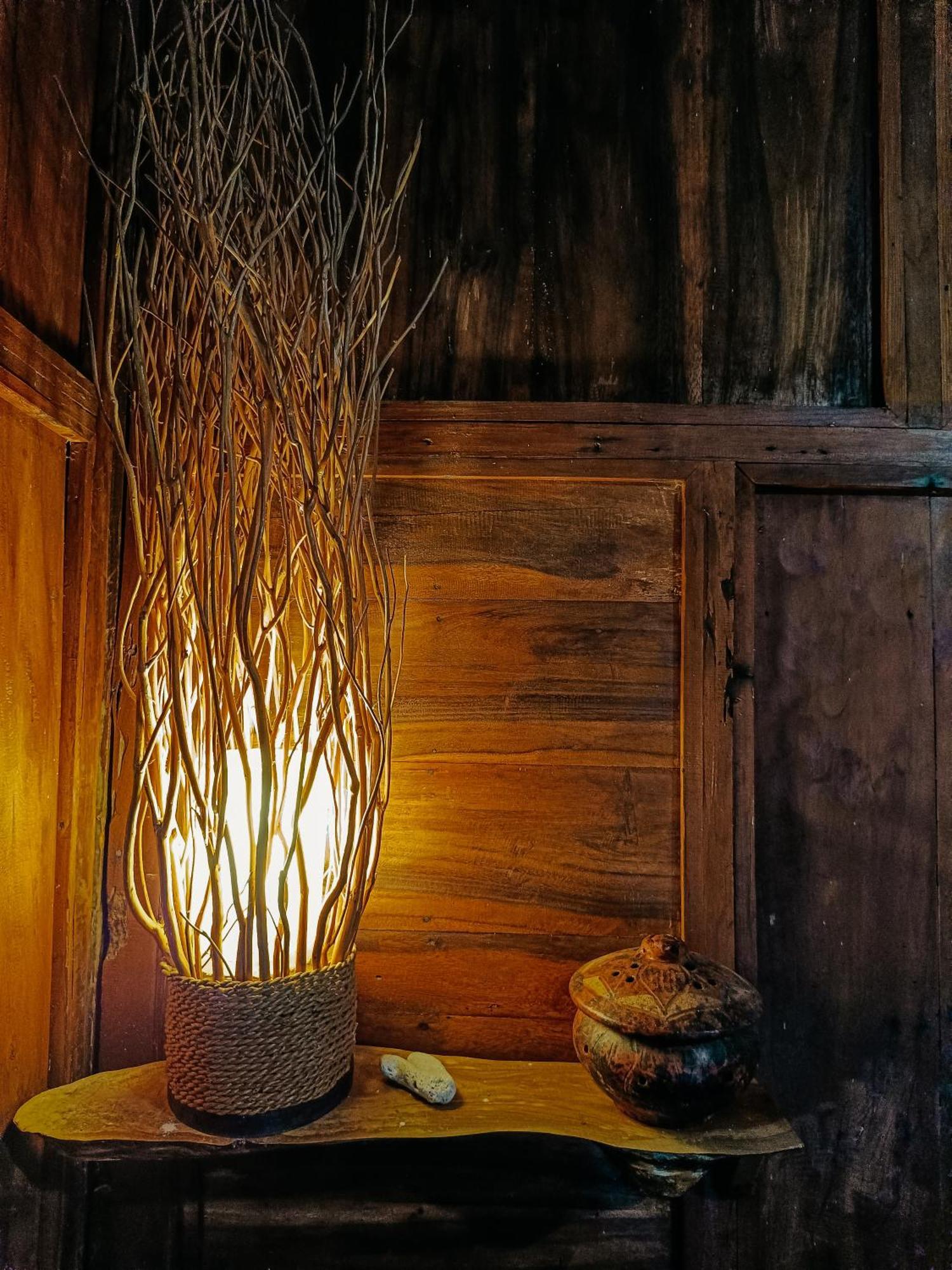 Alaya Ecolodge 佩母得兰 外观 照片