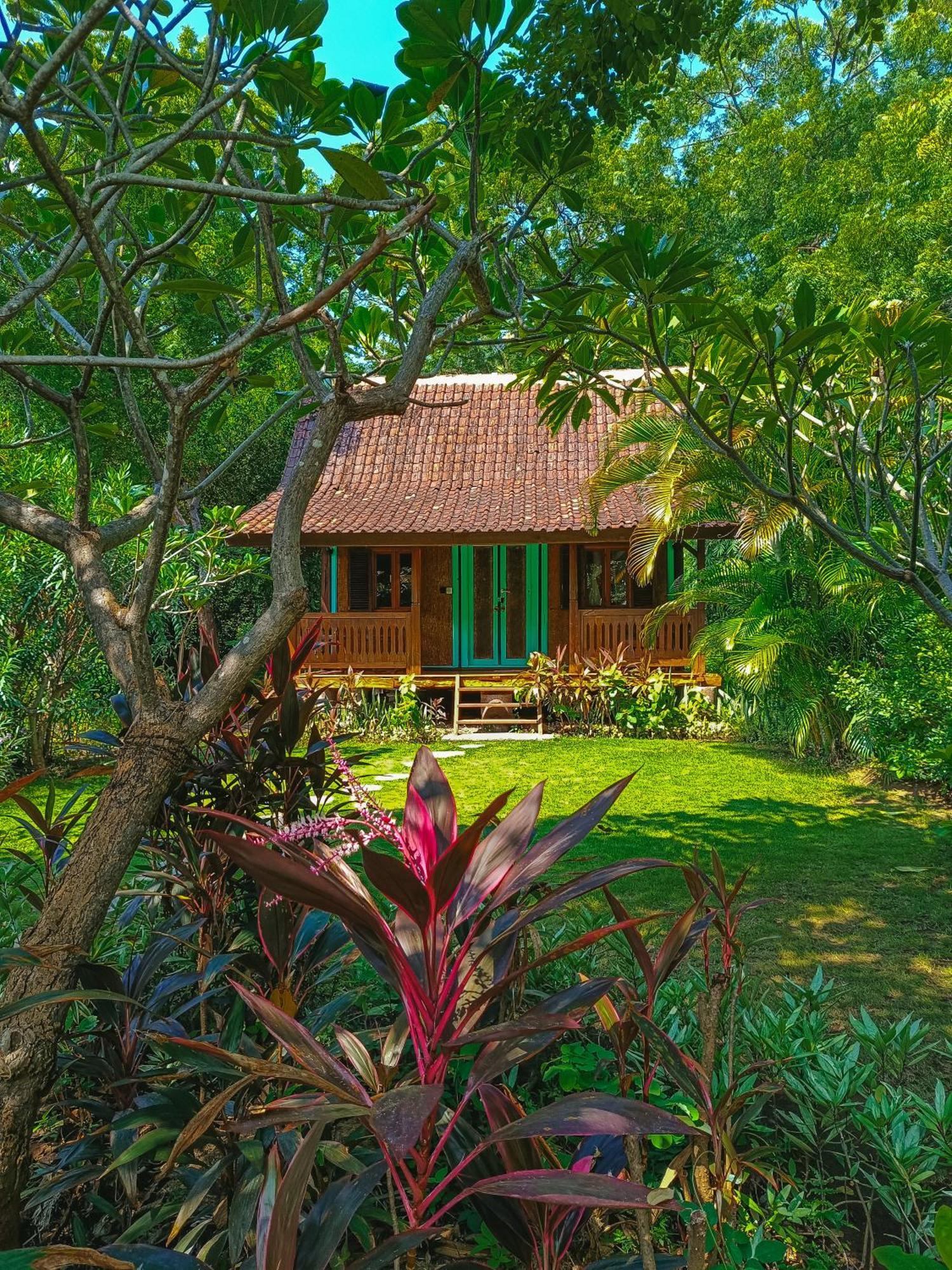 Alaya Ecolodge 佩母得兰 外观 照片