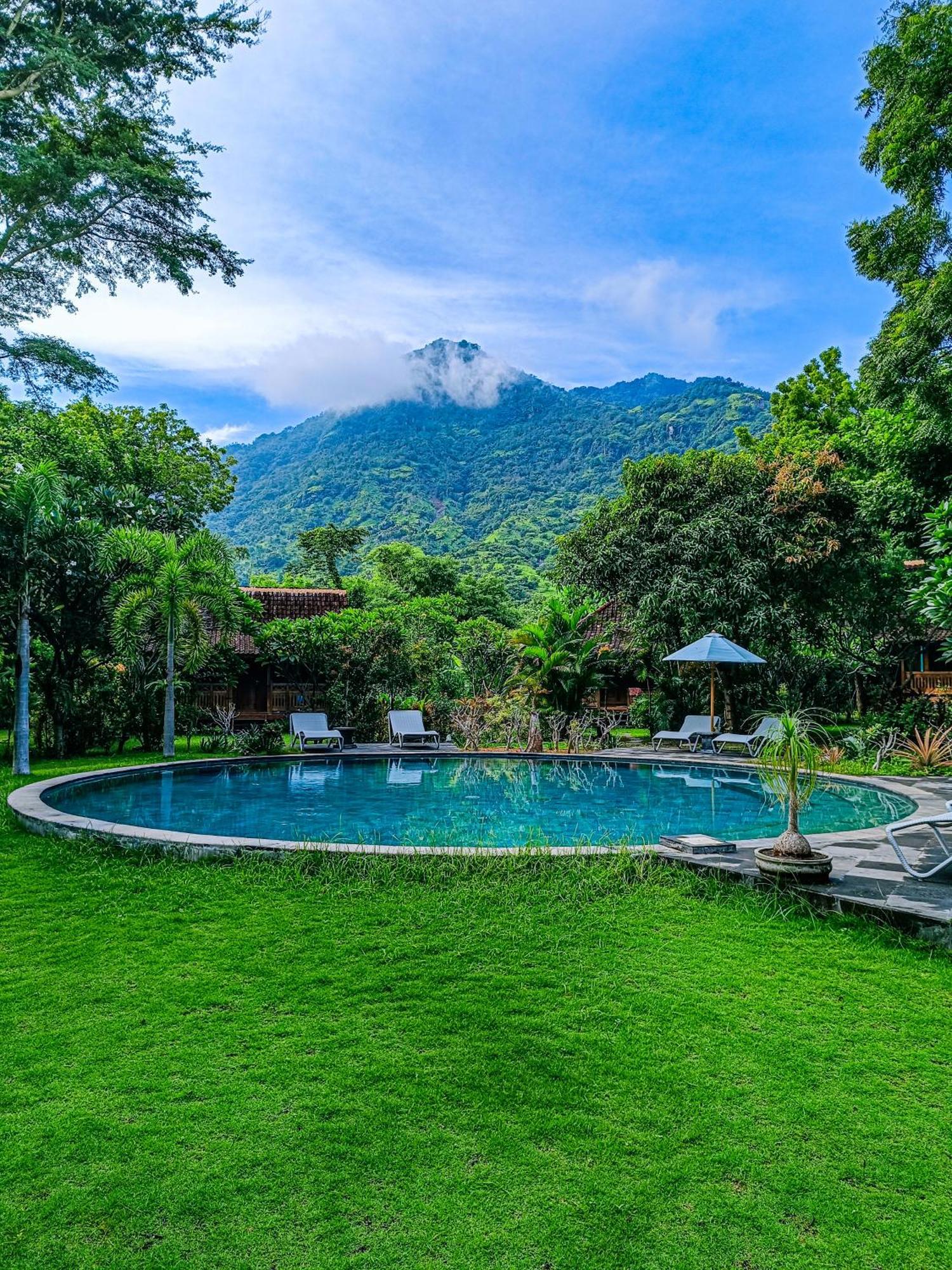 Alaya Ecolodge 佩母得兰 外观 照片
