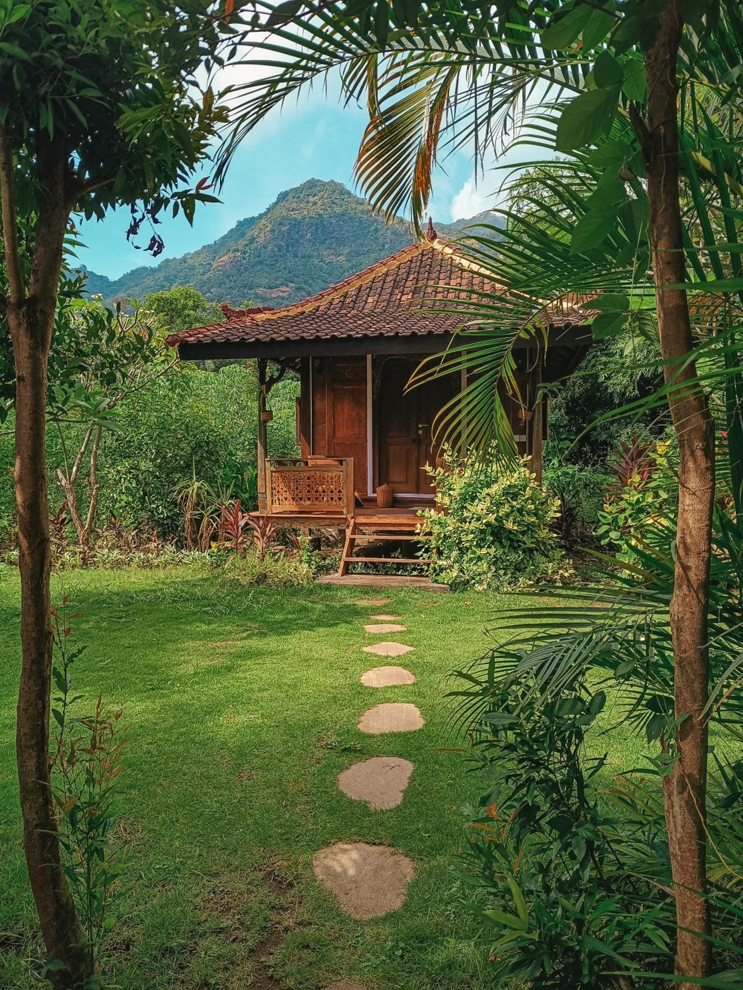 Alaya Ecolodge 佩母得兰 外观 照片