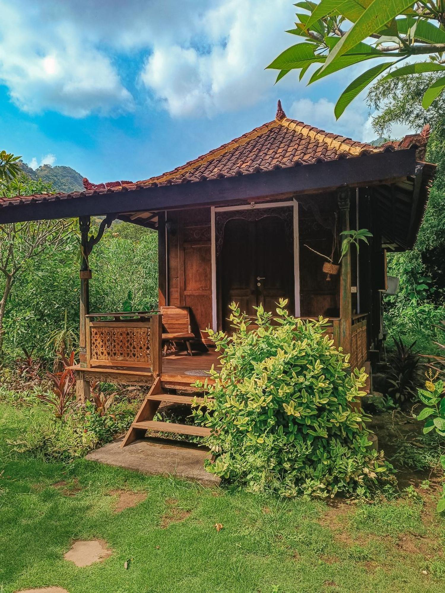 Alaya Ecolodge 佩母得兰 外观 照片