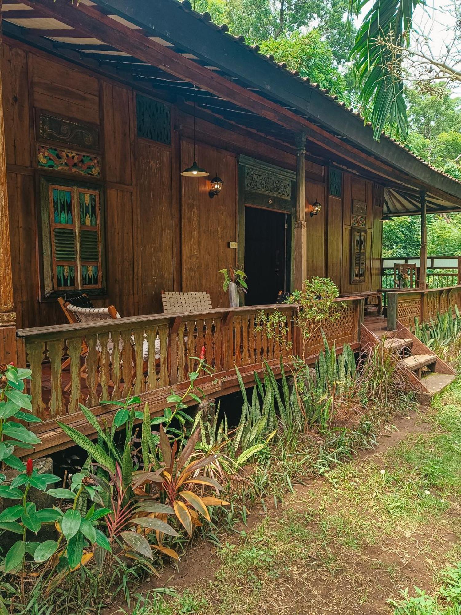 Alaya Ecolodge 佩母得兰 外观 照片