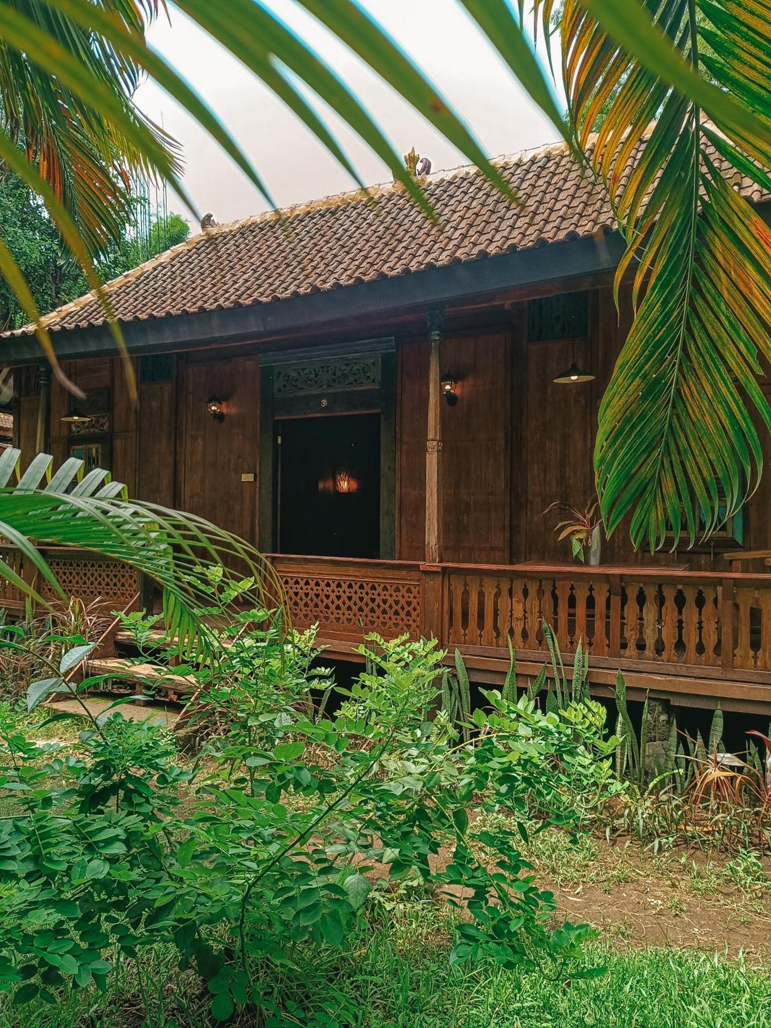 Alaya Ecolodge 佩母得兰 外观 照片
