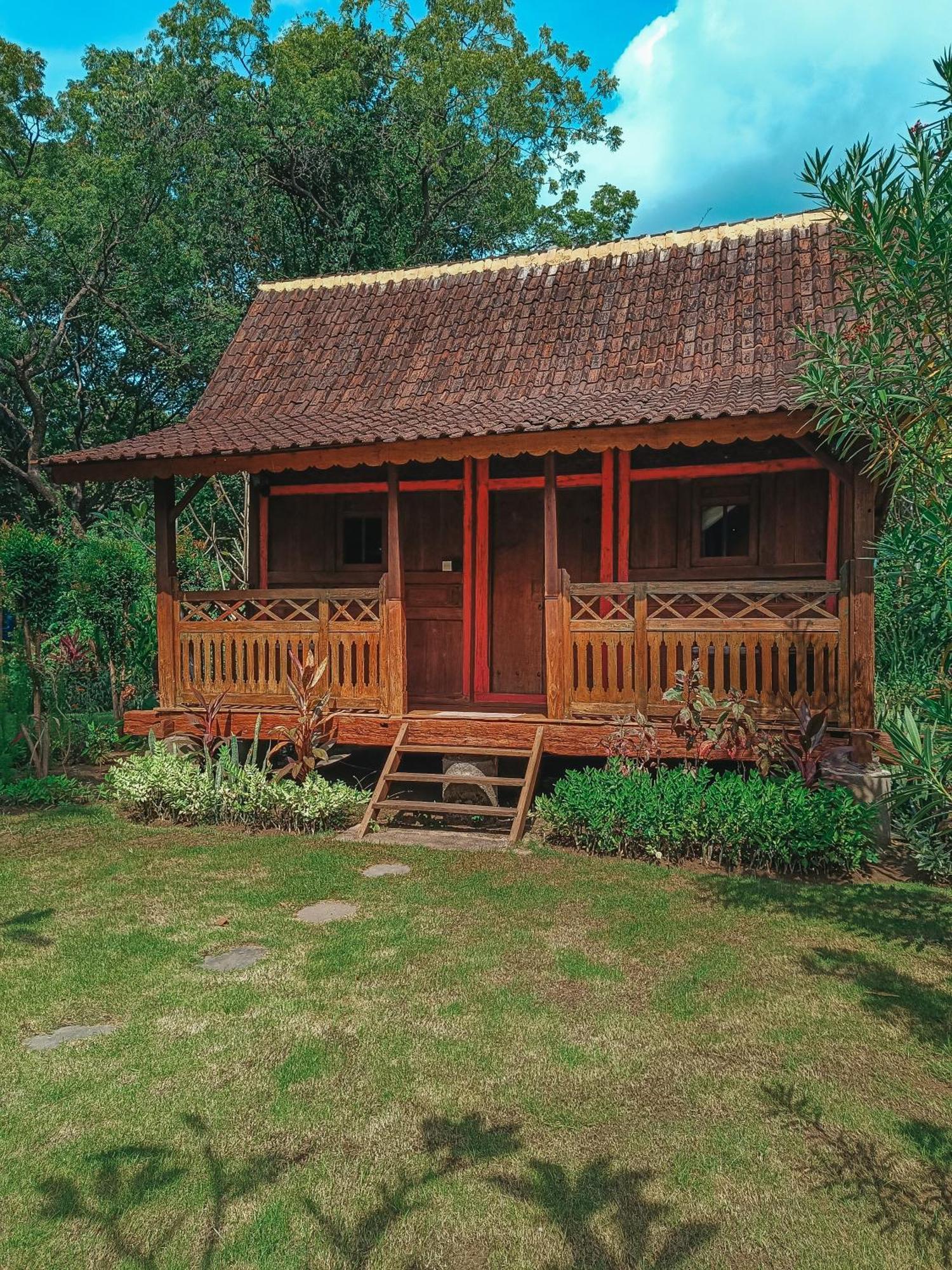 Alaya Ecolodge 佩母得兰 外观 照片
